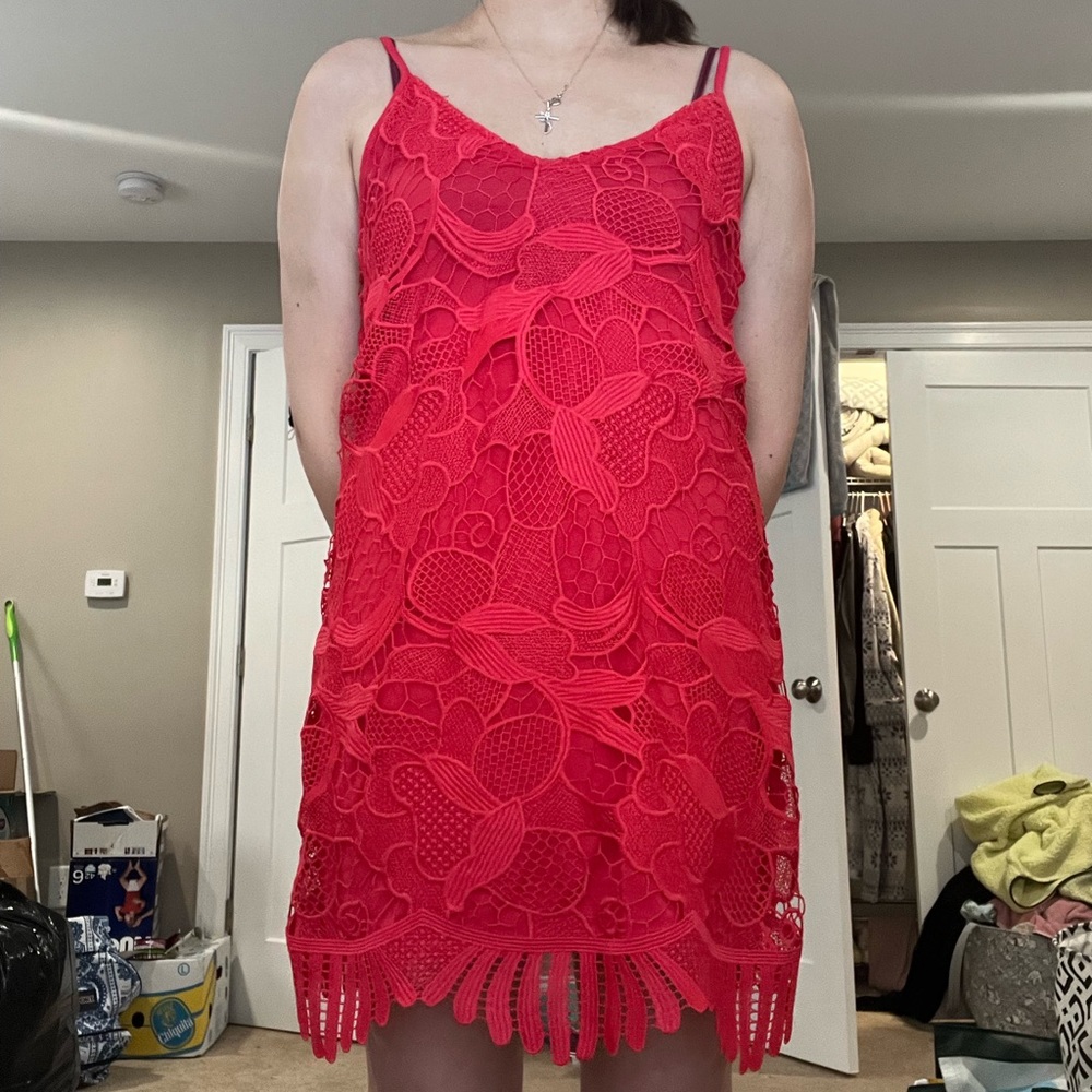 Express lace dress